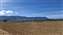 20250625_091006.jpg