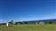 20250704_155734.jpg