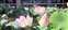 LINE_ALBUM_202574-5熱氣球_250705_5.jpg