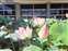 LINE_ALBUM_202574-5熱氣球_250705_6.jpg