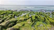 Click for large image