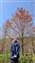 20260117_134428.jpg