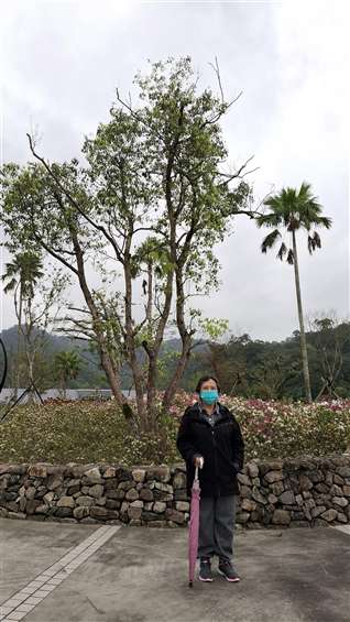 Click to go back