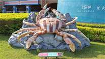 Click for large image