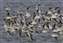 Picture51.jpg