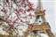 Paris, France.jpg