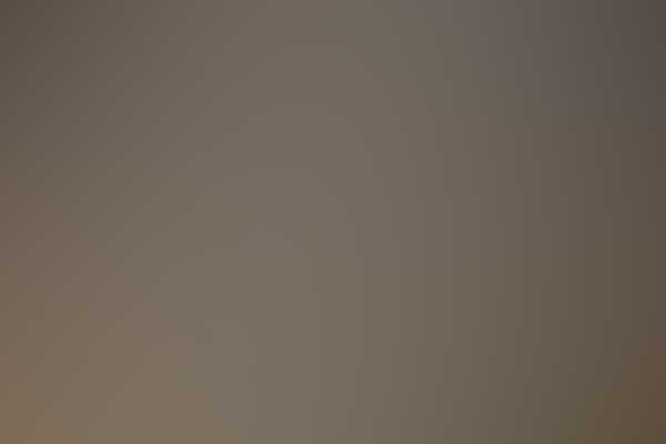 Free Template by ProBootstrap.com