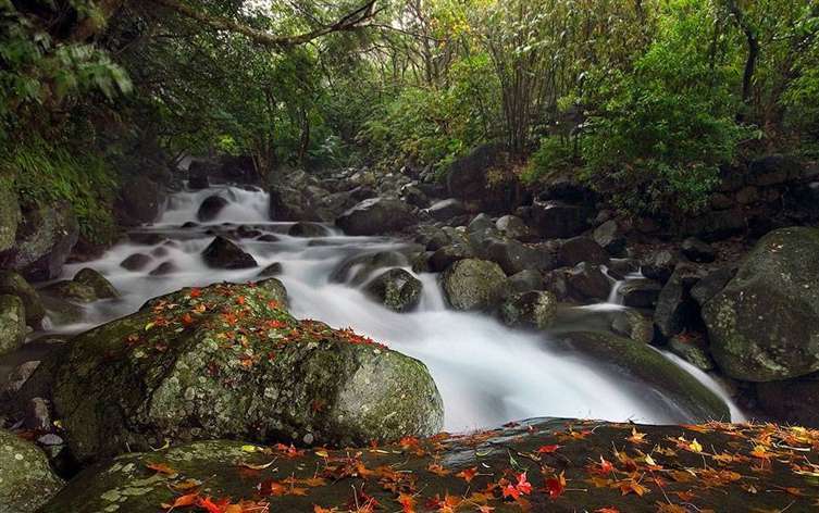 Click to go back