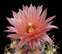 Picture24.jpg